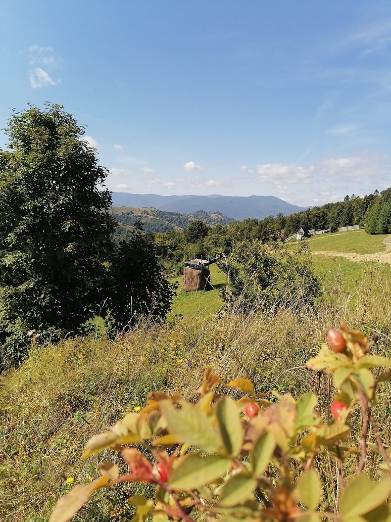Синевир вже не той. Як змінилося найбільше озеро Українських Карпат за десять років